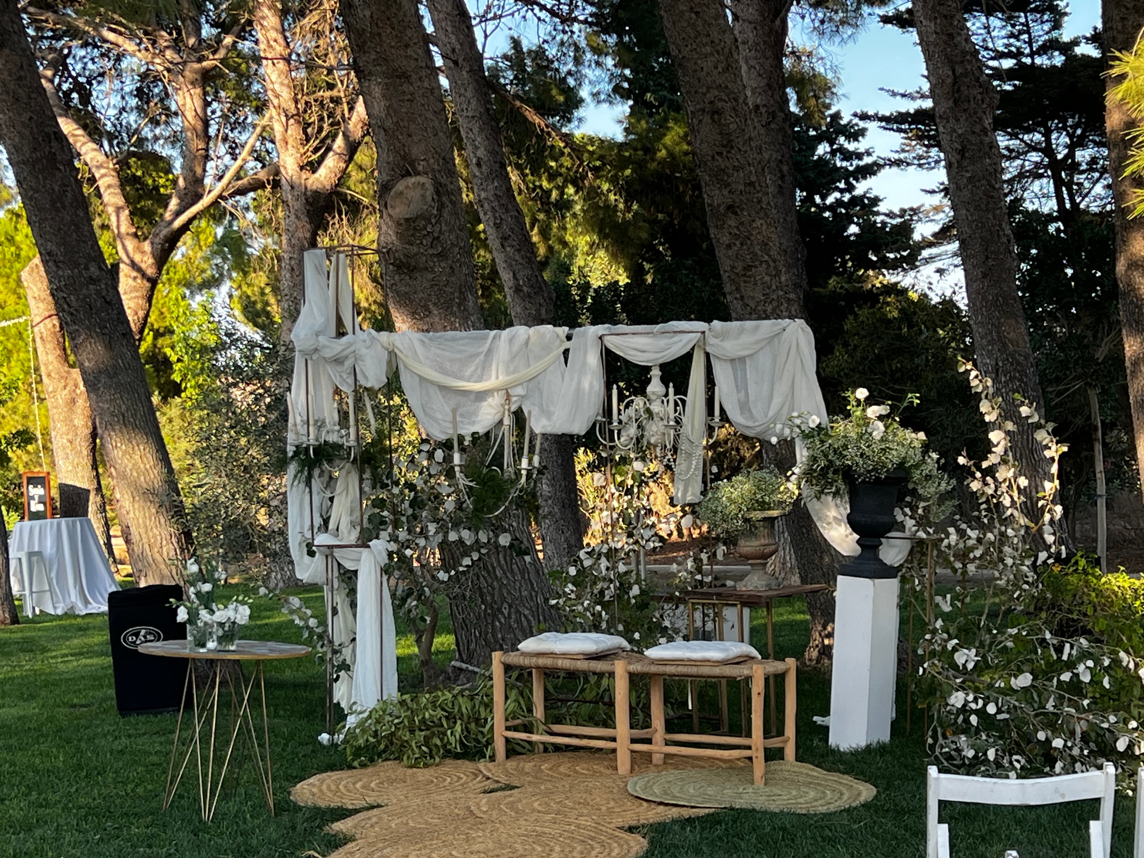 Image 13